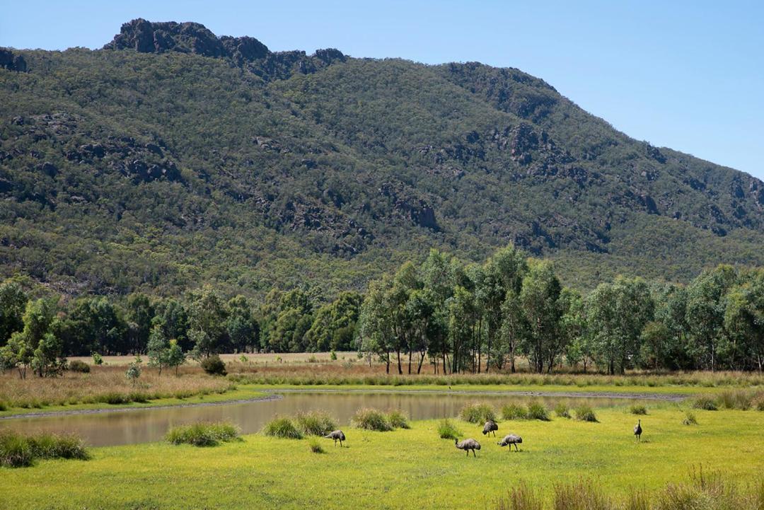 Halls Gap Motel Exteriér fotografie