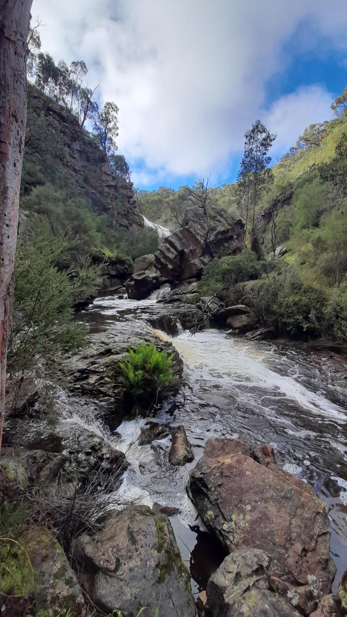 Halls Gap Motel Exteriér fotografie