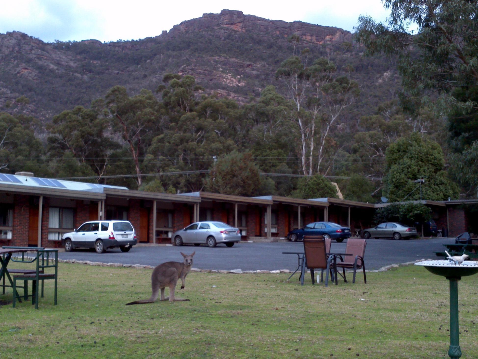 Halls Gap Motel Exteriér fotografie